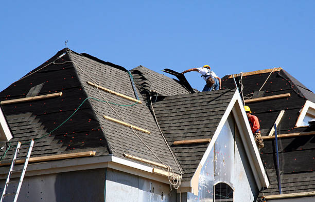 Best Roof Moss and Algae Removal  in Martindale, TX